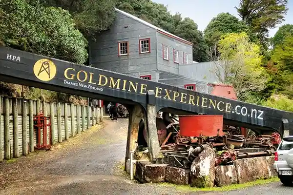 Goldmine Experience